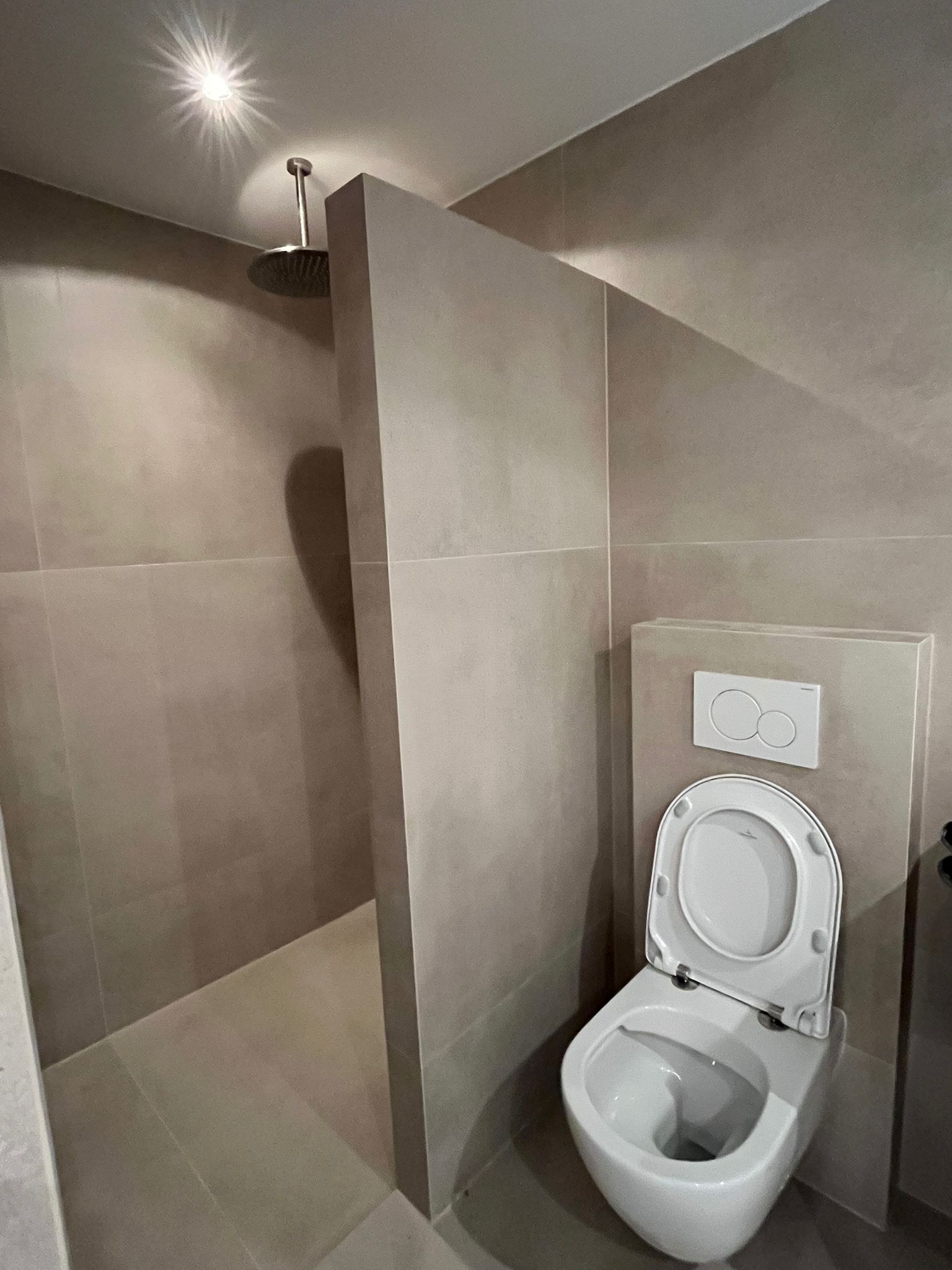 Walk-in shower with ceiling rain head and wall-hung toilet